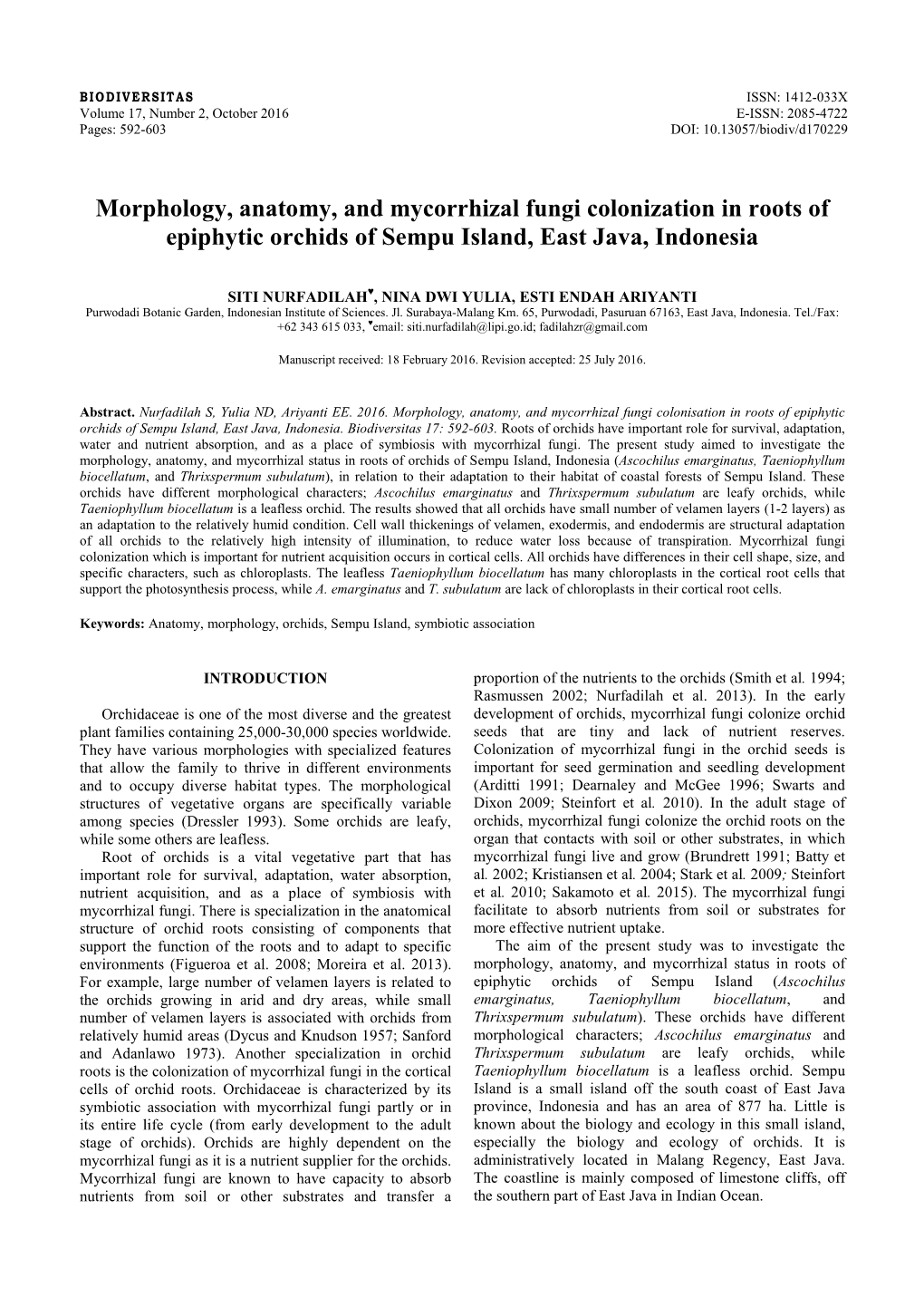 Morphology, Anatomy, and Mycorrhizal Fungi Colonization in Roots of Epiphytic Orchids of Sempu Island, East Java, Indonesia