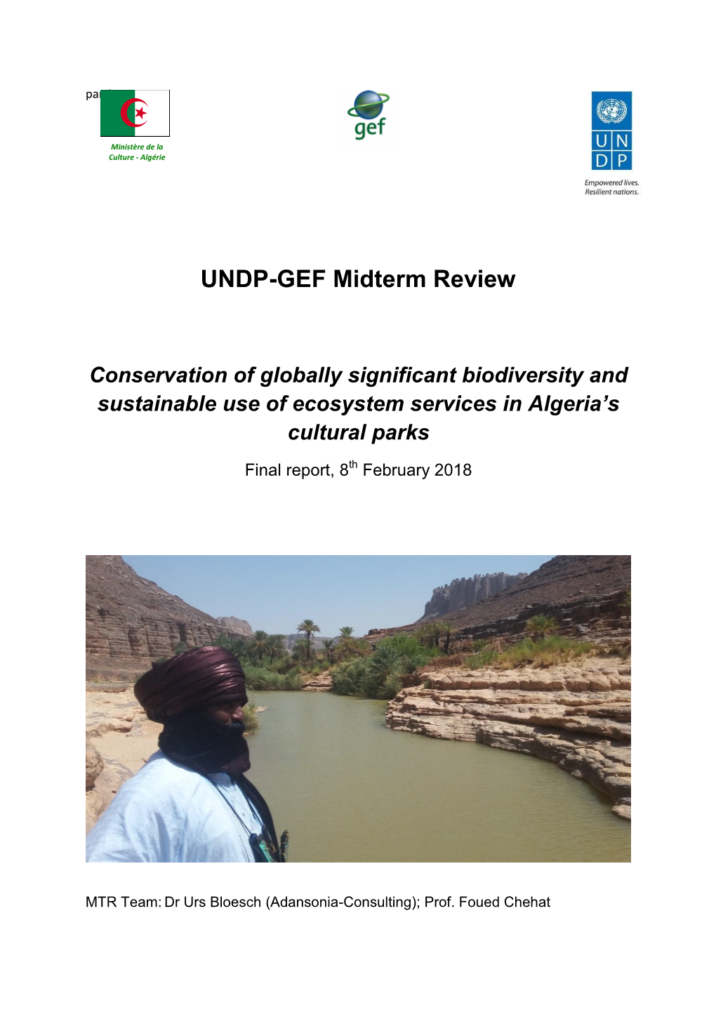 UNDP-GEF Midterm Review