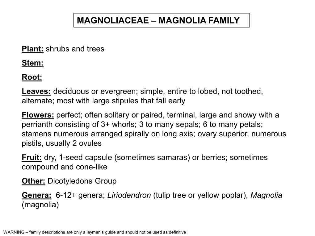 Magnolia Family