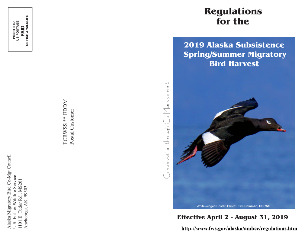 Alaska Subsistence Spring/Summer Migratory Bird Harvest Regluations