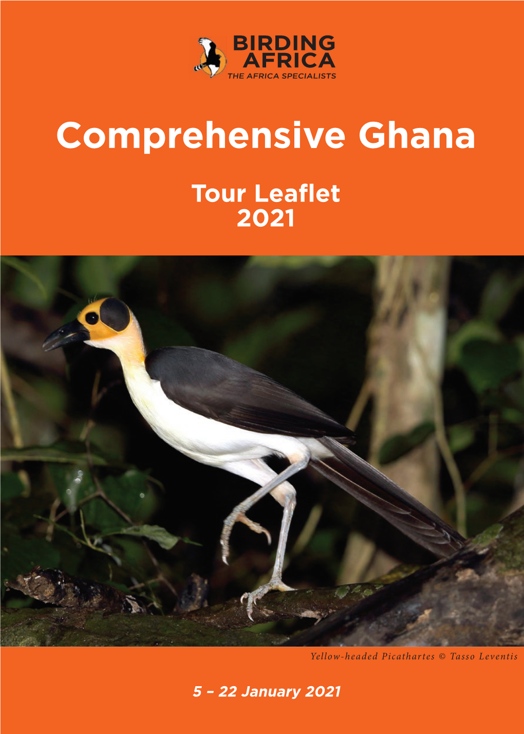 Comprehensive Ghana