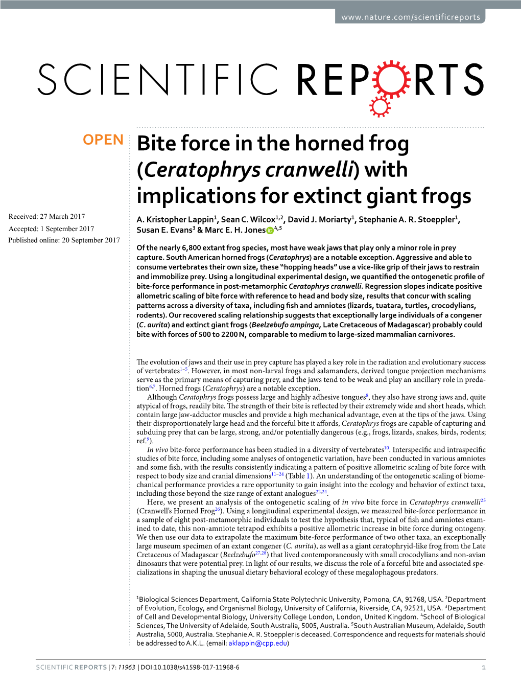 Ceratophrys Cranwelli) with Implications for Extinct Giant Frogs Received: 27 March 2017 A