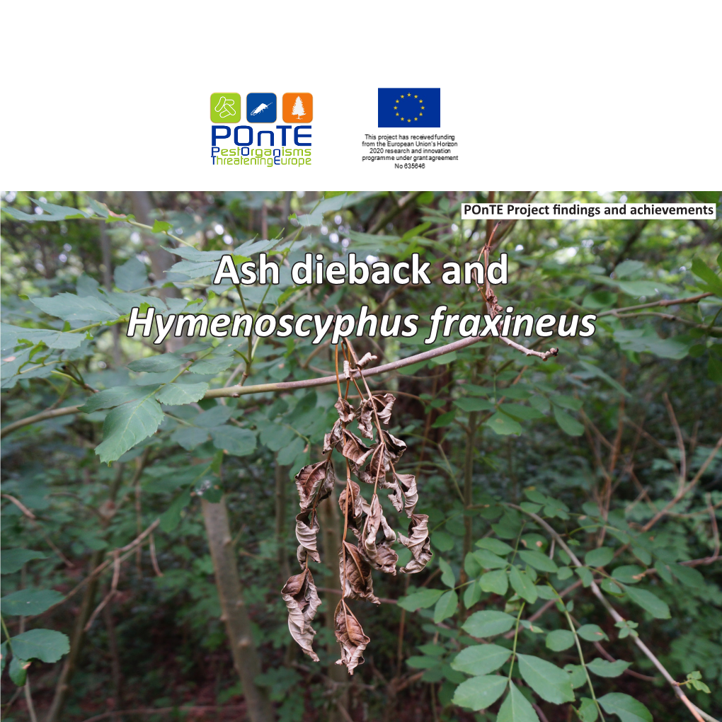 Ash Dieback and Hymenoscyphus Fraxineus What Is Hymenoscyphus Fraxineus?