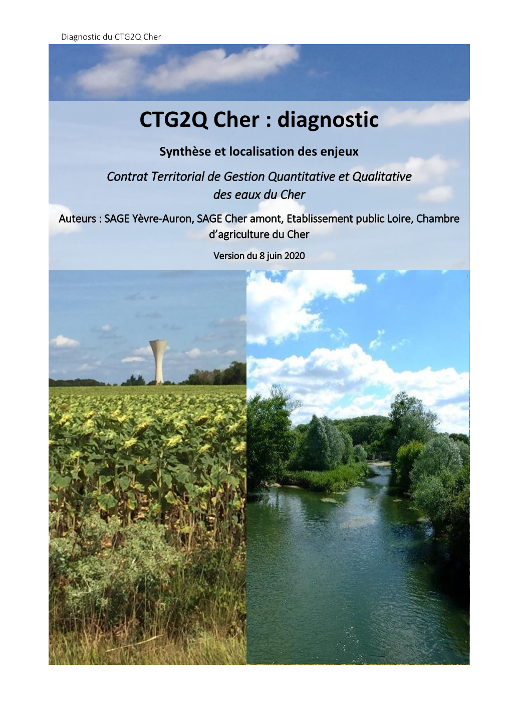 CTG2Q Cher : Diagnostic