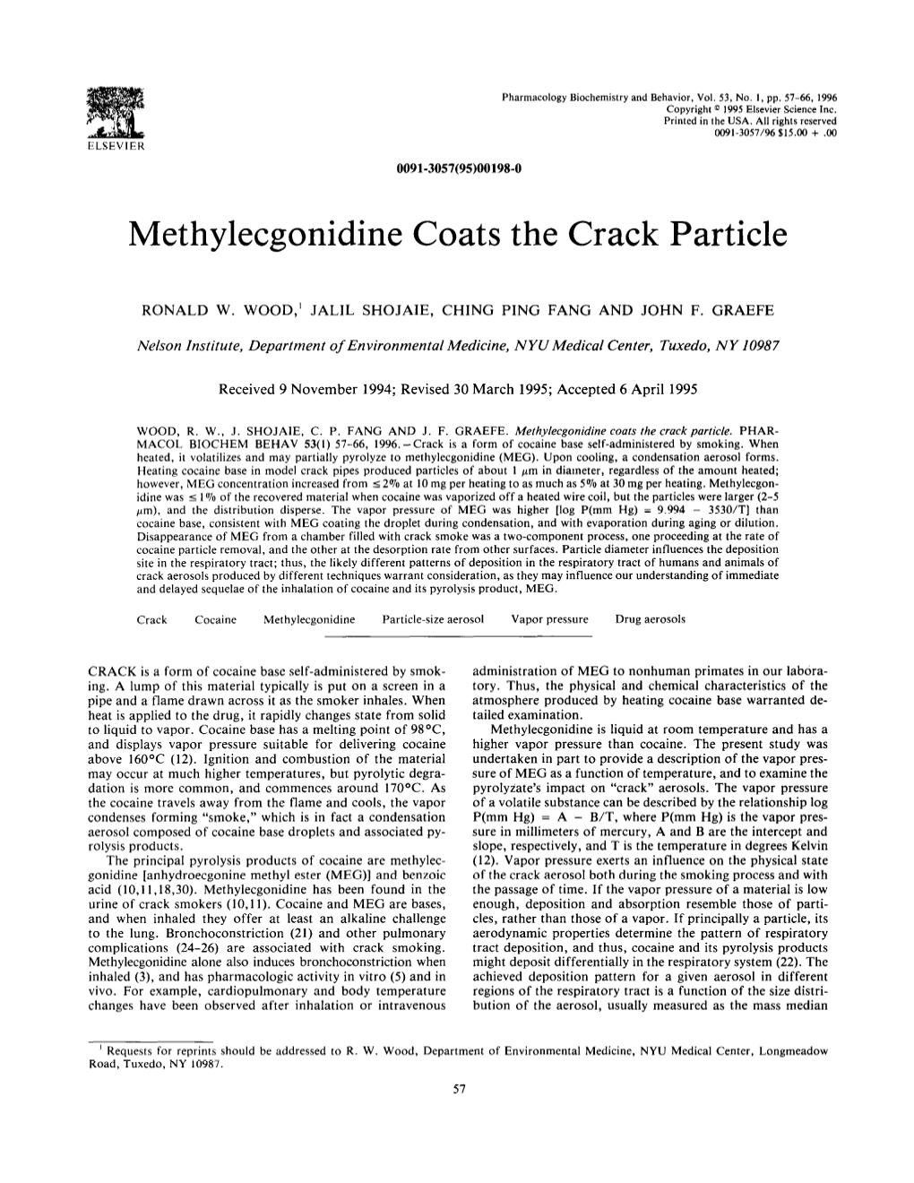 Methylecgonidine Coats the Crack Particle