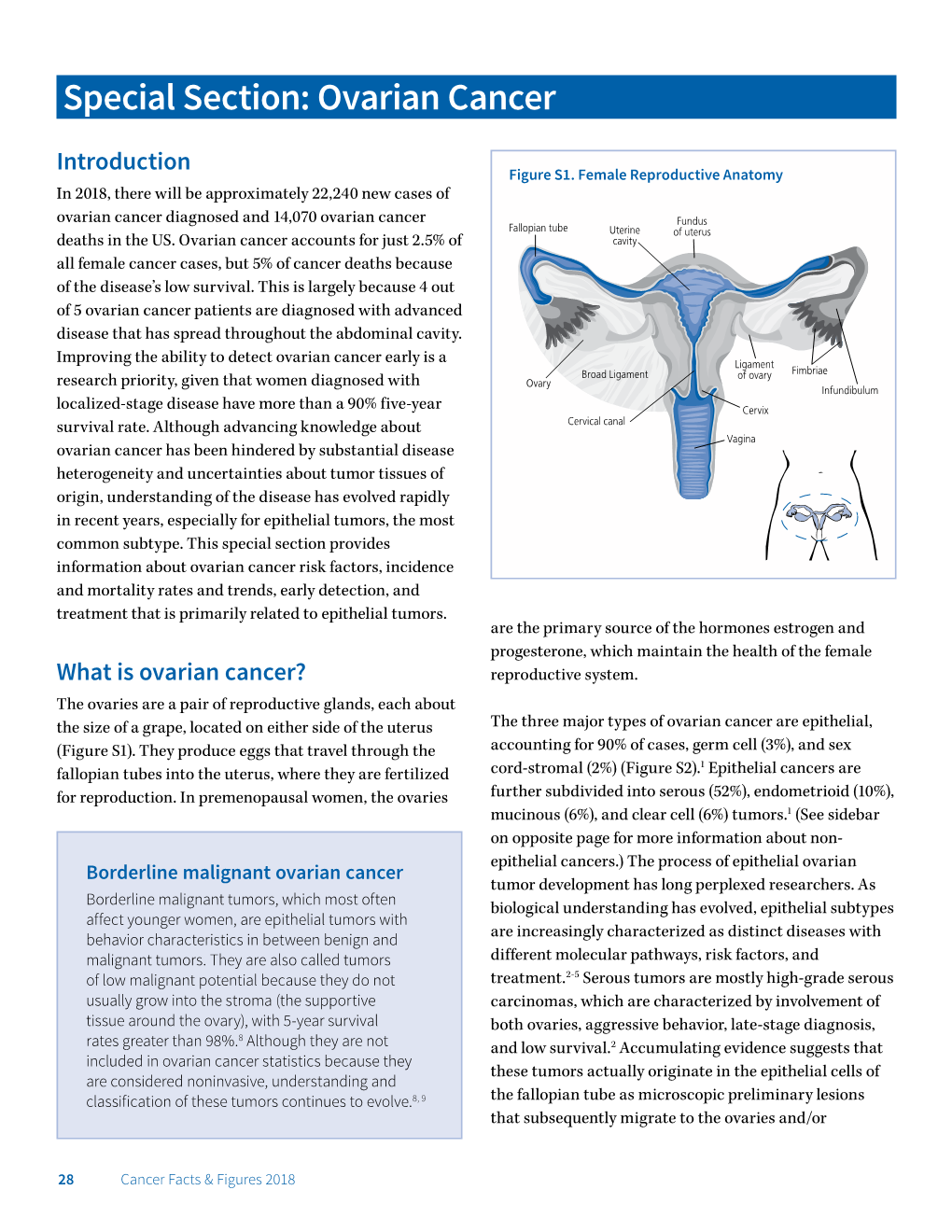 Ovarian Cancer