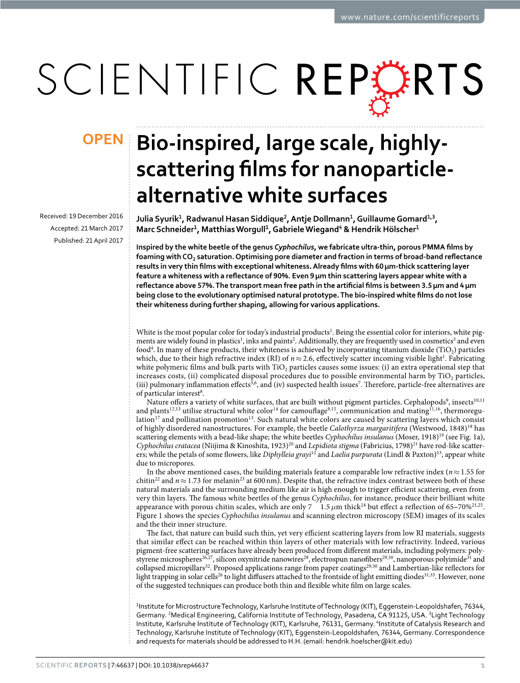 Bio-Inspired, Large Scale, Highly-Scattering Films for Nanoparticle- Alternative White Surfaces