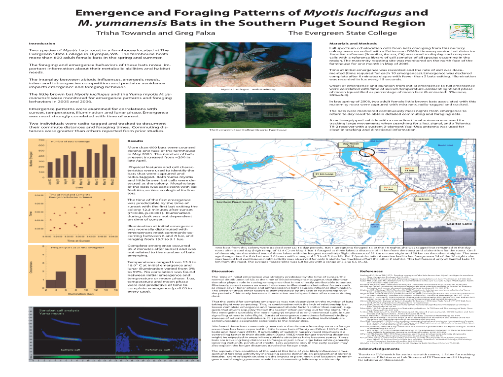 Emergence and Foraging Patterns of Myotis Lucifugus and M