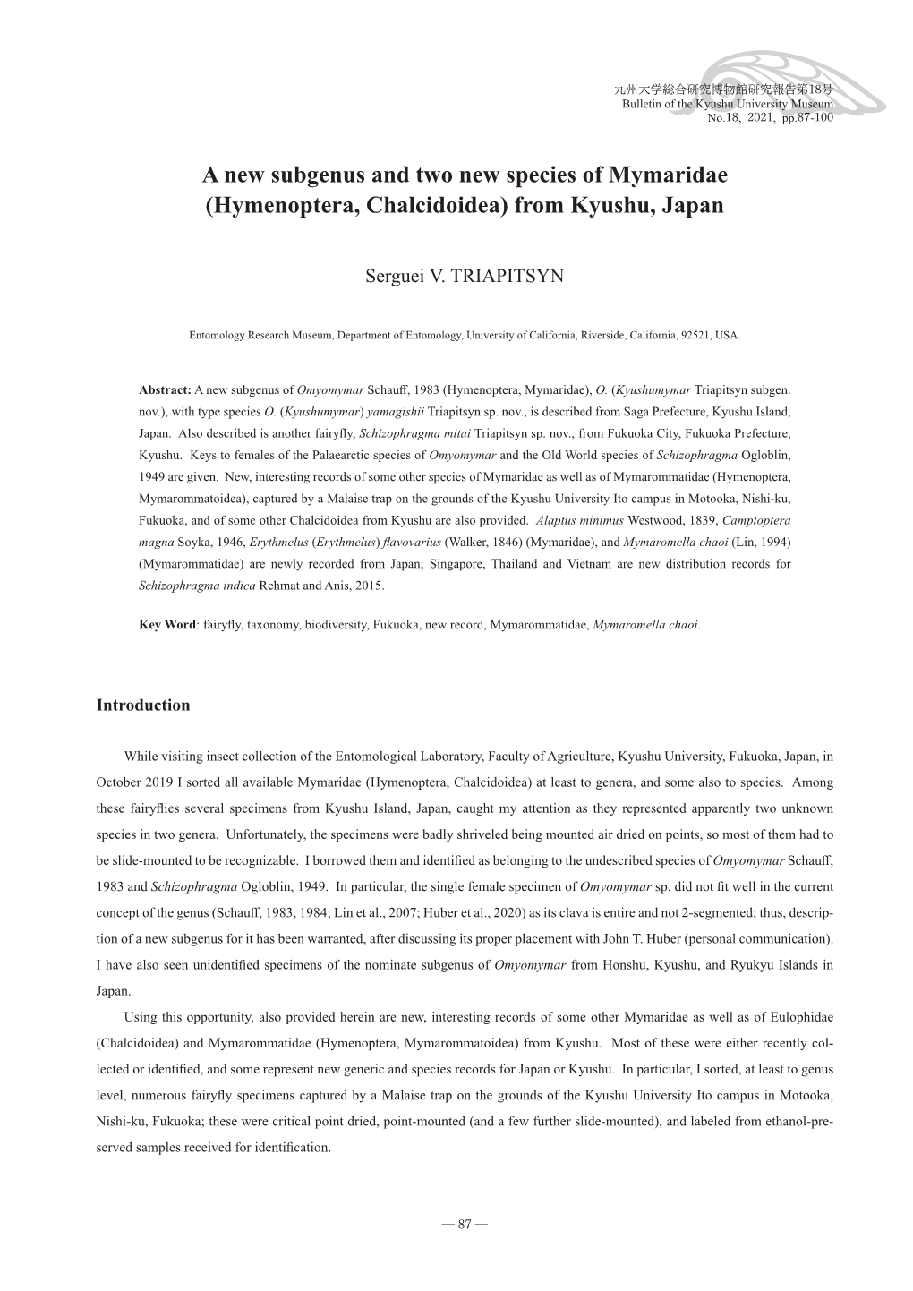 A New Subgenus and Two New Species of Mymaridae (Hymenoptera, Chalcidoidea) from Kyushu, Japan