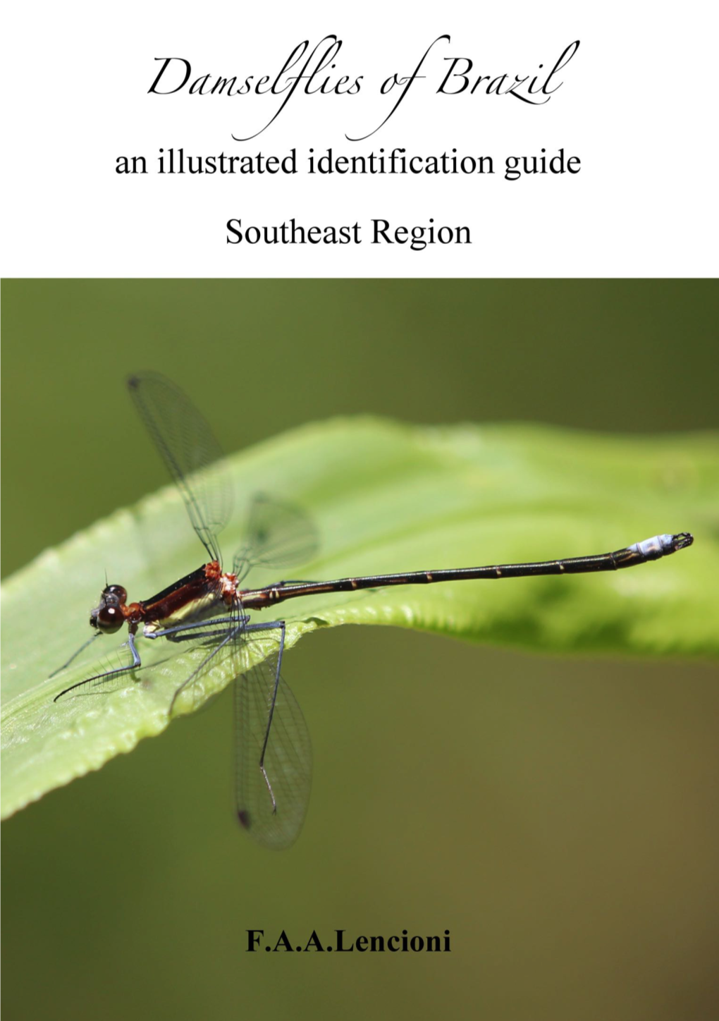 Damselflies of Brazil an Illustrated Identification Guide Southeast Region