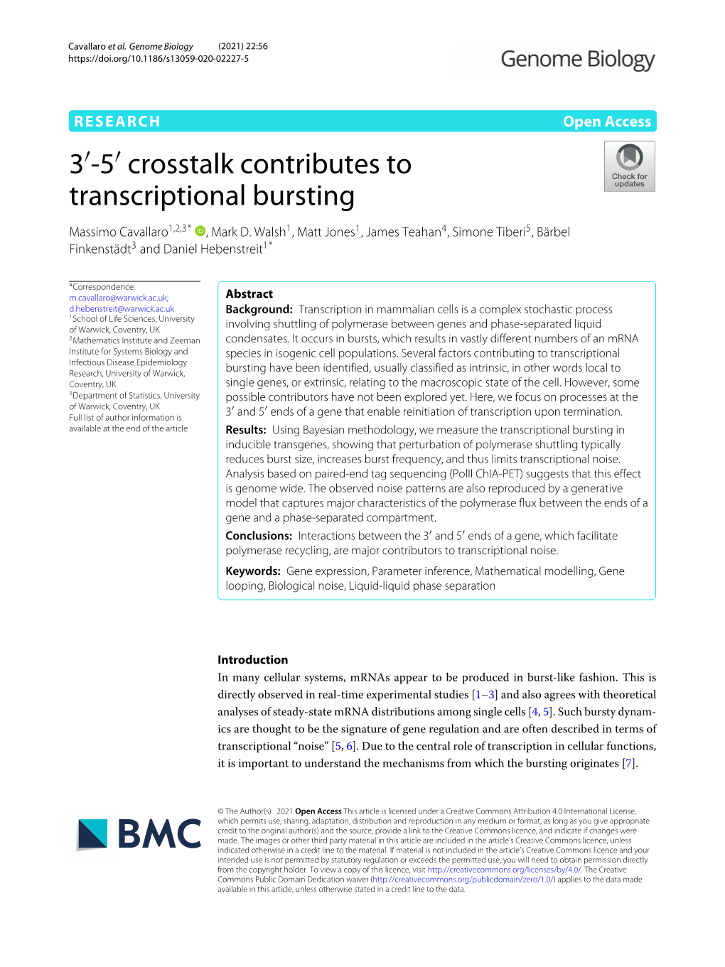 3 ′-5 ′ Crosstalk Contributes to Transcriptional Bursting