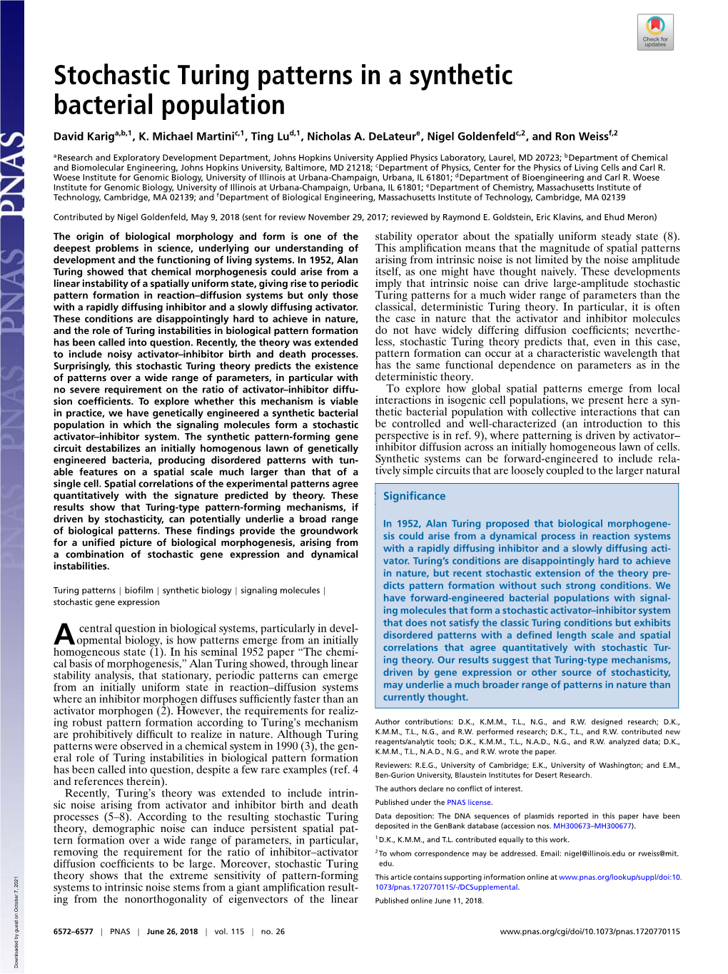 Stochastic Turing Patterns in a Synthetic Bacterial Population