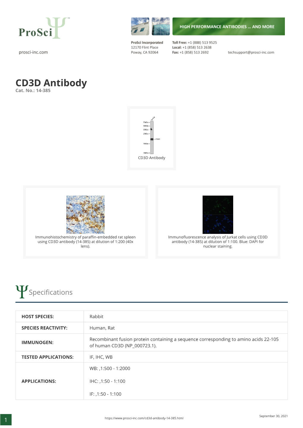 CD3D Antibody Cat