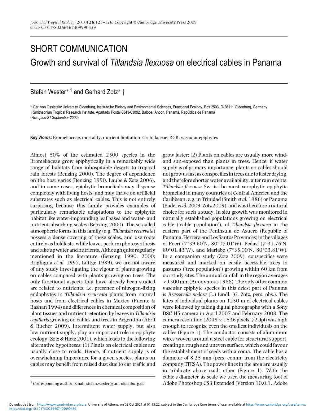 Growth and Survival of Tillandsia Flexuosa on Electrical Cables In