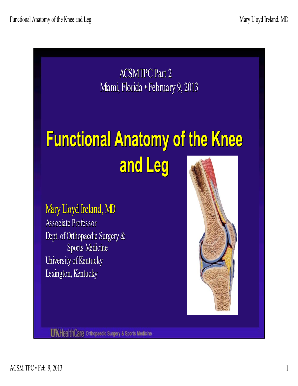 Functional Anatomy of the Knee and Leg Functional Anatomy of The