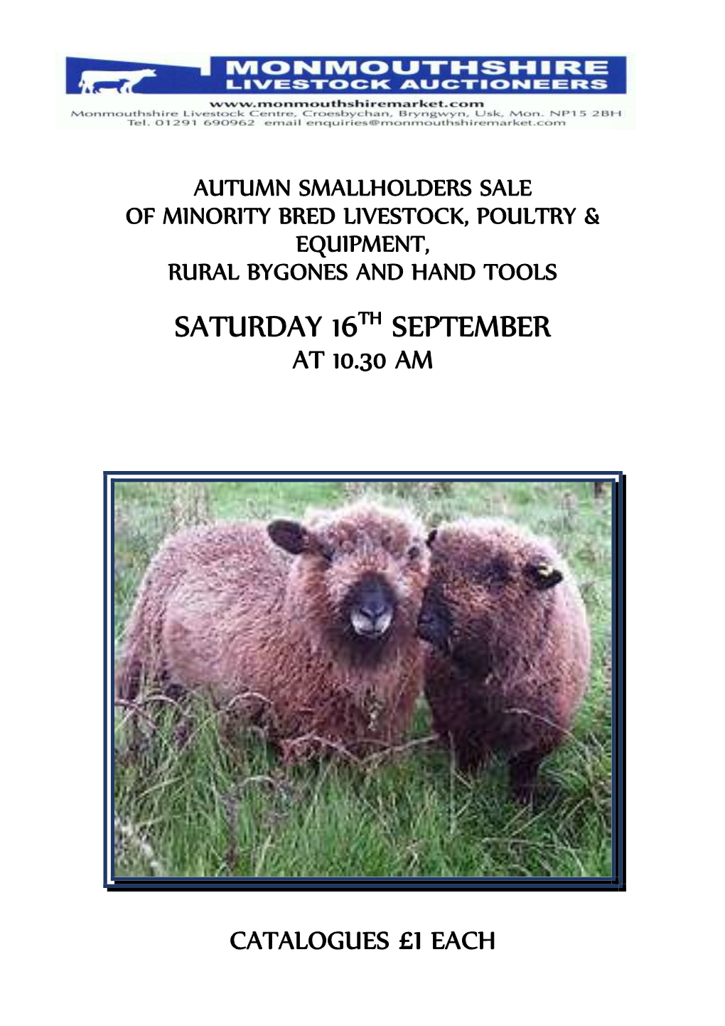 Saturday 16Th September at 10.30 Am