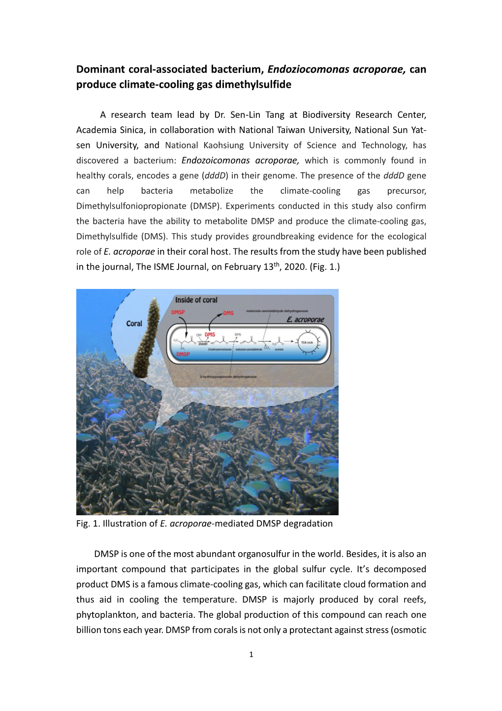 Dominant Coral-Associated Bacterium, Endoziocomonas Acroporae, Can Produce Climate-Cooling Gas Dimethylsulfide