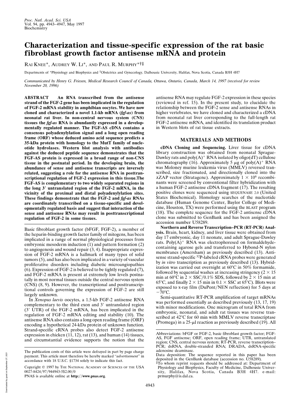 Characterization and Tissue-Specific Expression of the Rat Basic Fibroblast Growth Factor Antisense Mrna and Protein