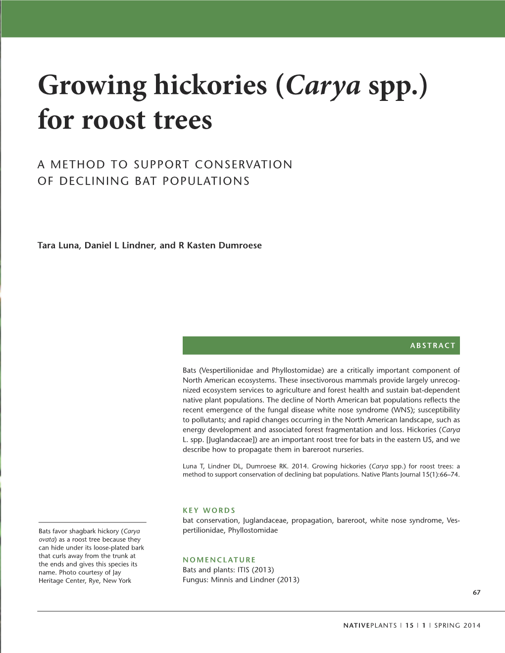 Growing Hickories (Carya Spp.) for Roost Trees