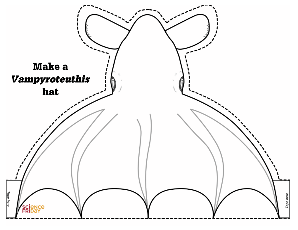 Vampire Squid Vampyroteuthis Infernalis