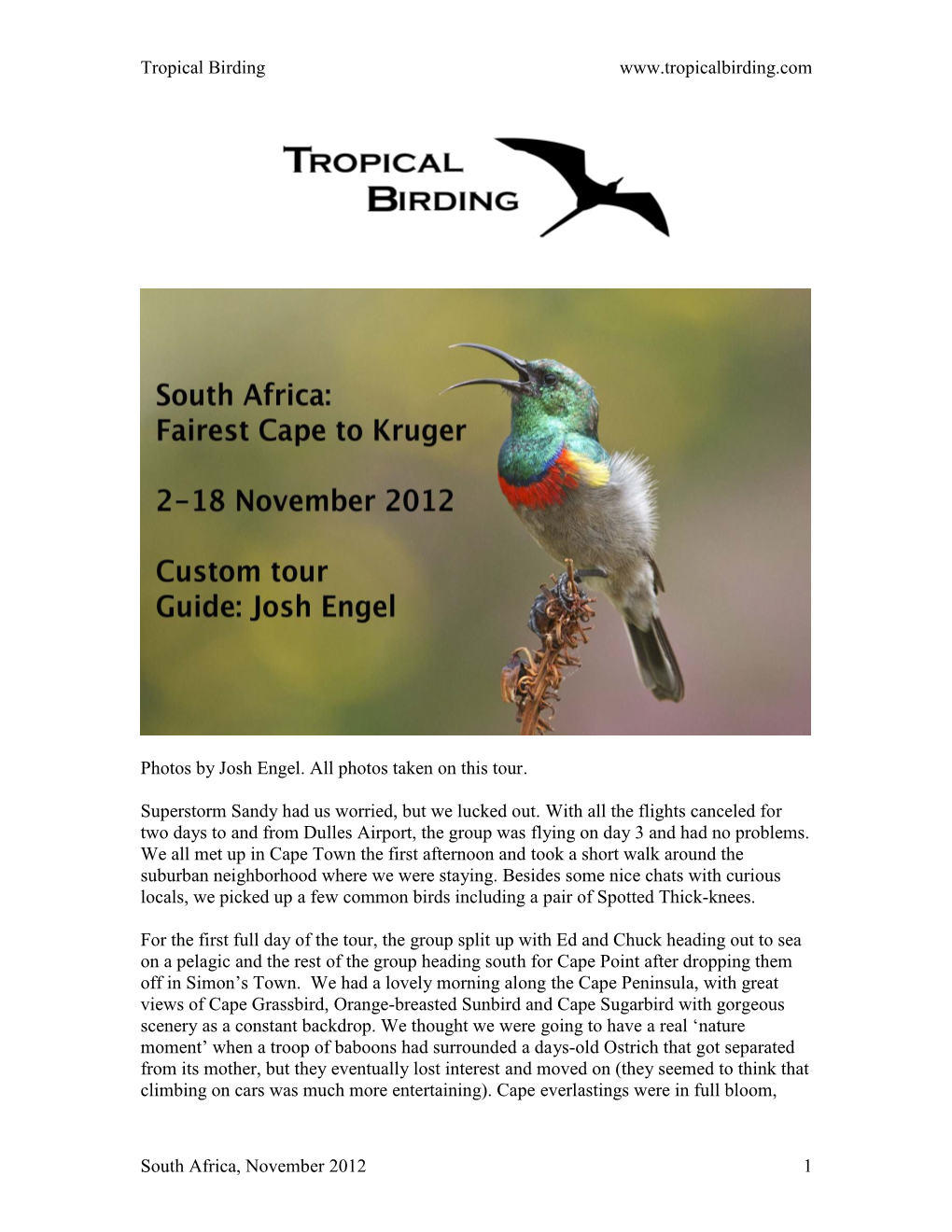 Tropical Birding South Africa, November
