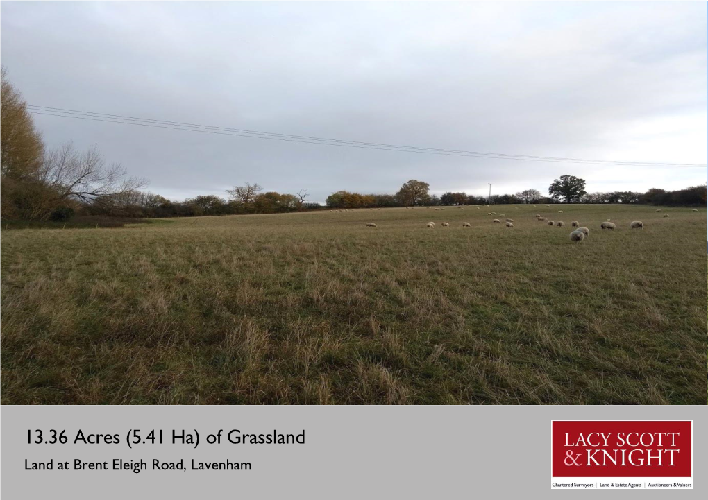 Of Grassland