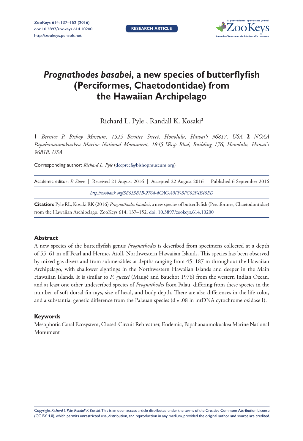 ﻿Prognathodes Basabei, a New Species of Butterflyfish (Perciformes