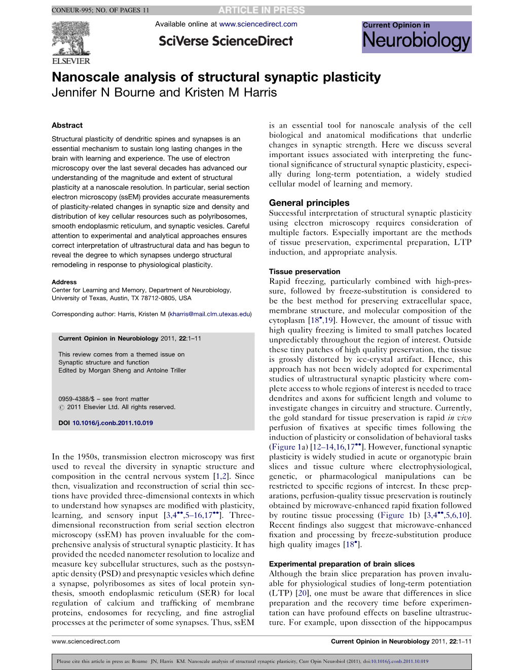 Nanoscale Analysis of Structural Synaptic Plasticity