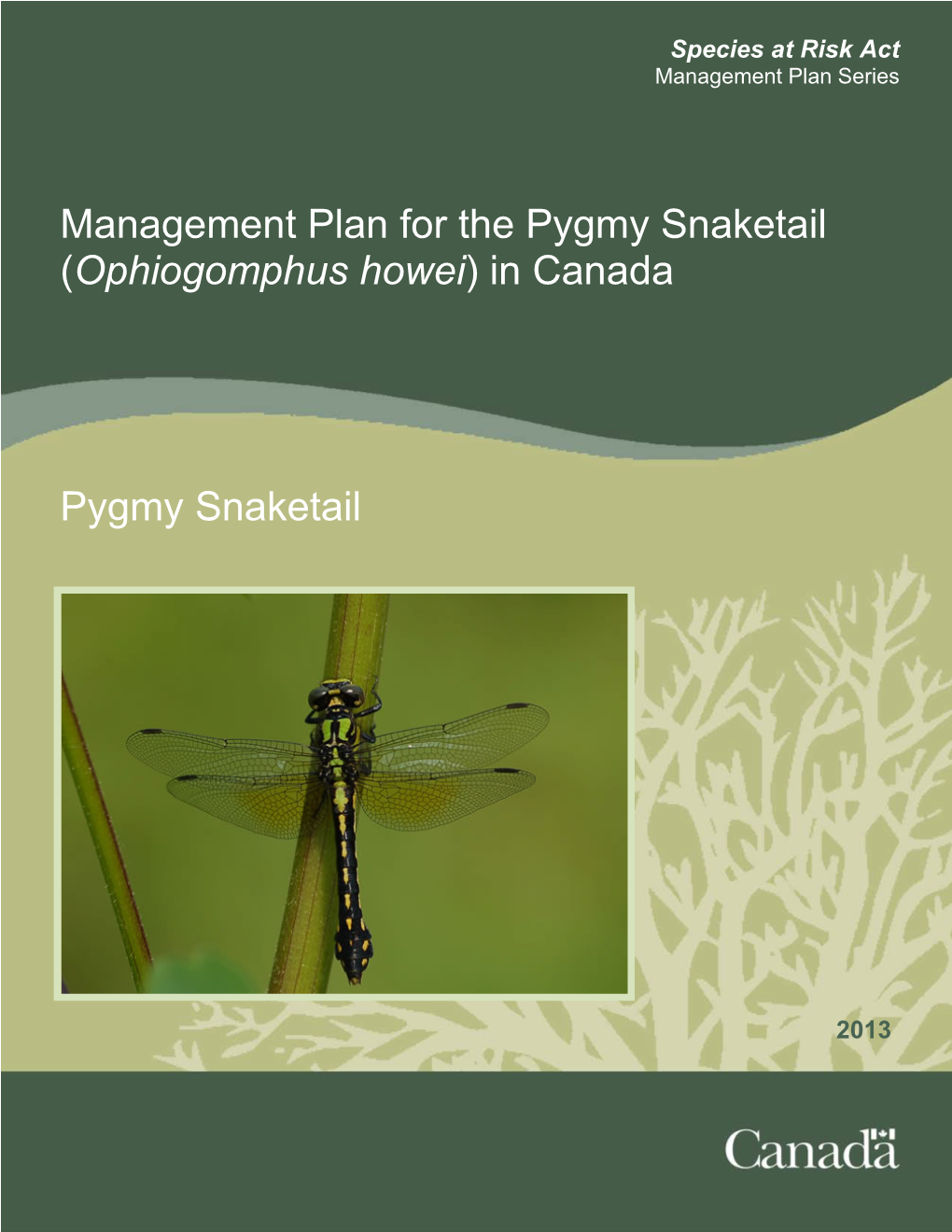 Management Plan for the Pygmy Snaketail (Ophiogomphus Howei) in Canada