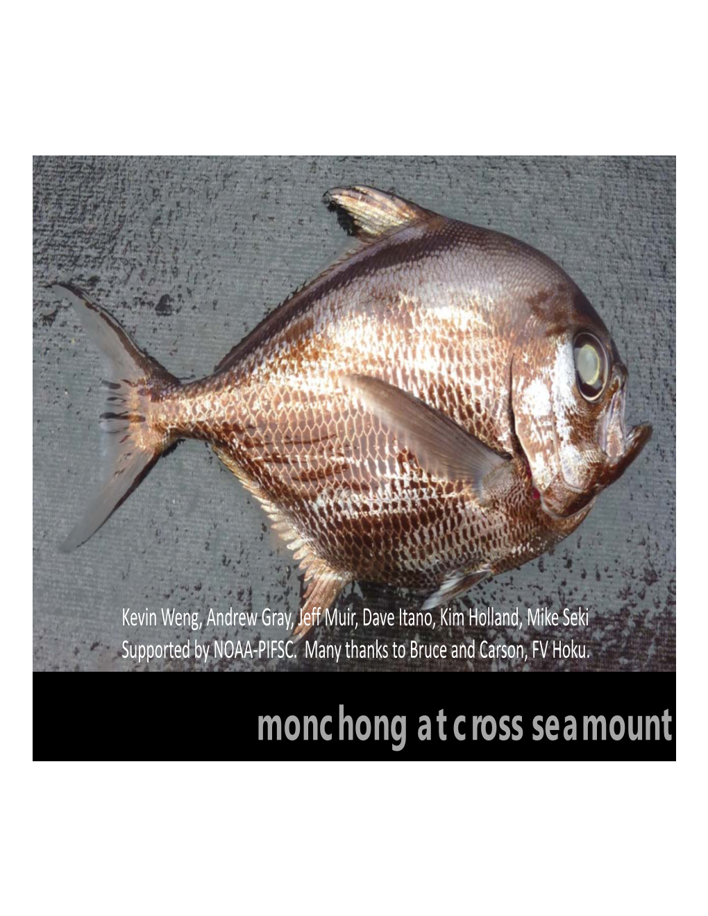 Monchong at Cross Seamount