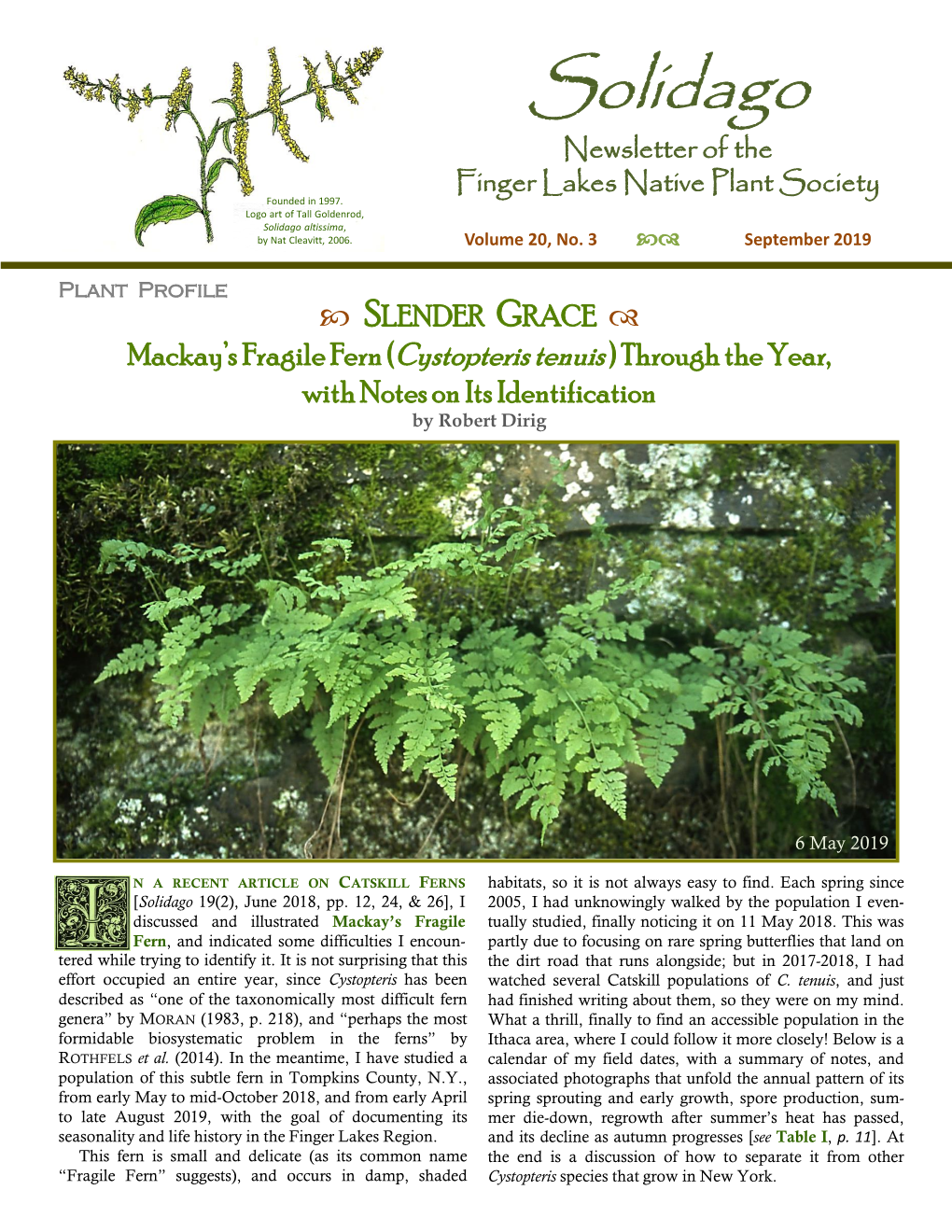 Solidago 20(3), September 2019 O O STUDY THIS FERN, I Selected Two Sites: an East- Facing, Seepy, Exposed, 20-Ft.-Tall Rock Out-Crop [Fig