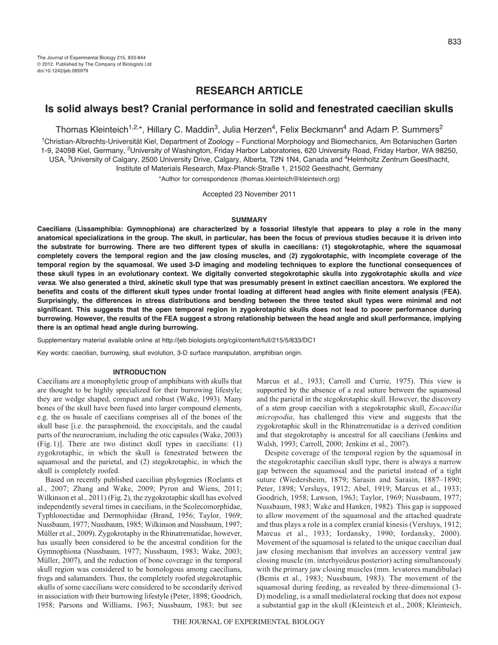 Cranial Performance in Solid and Fenestrated Caecilian Skulls