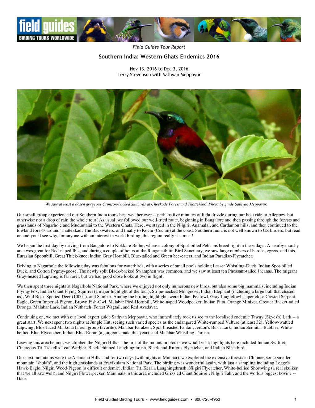 Western Ghats Endemics 2016