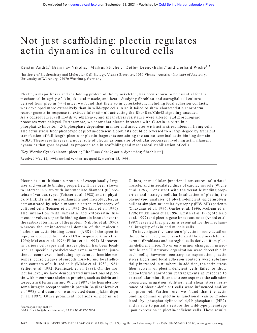 Not Just Scaffolding: Plectin Regulates Actin Dynamics in Cultured Cells