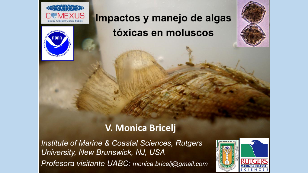 V. Monica Bricelj Impactos Y Manejo De Algas Tóxicas En Moluscos