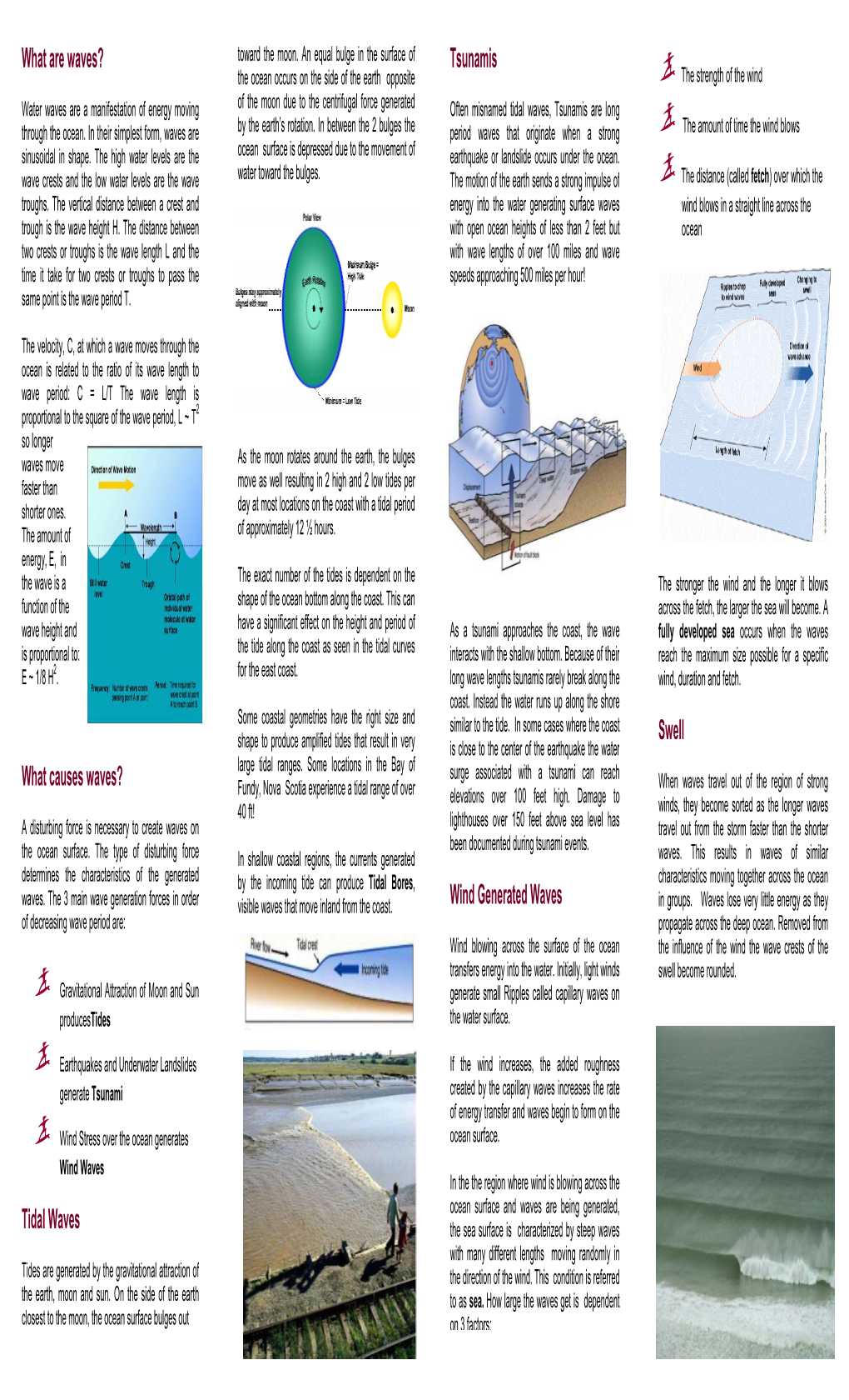 What Are Waves? What Causes Waves? Tidal Waves Tsunamis Wind Generated Waves Swell