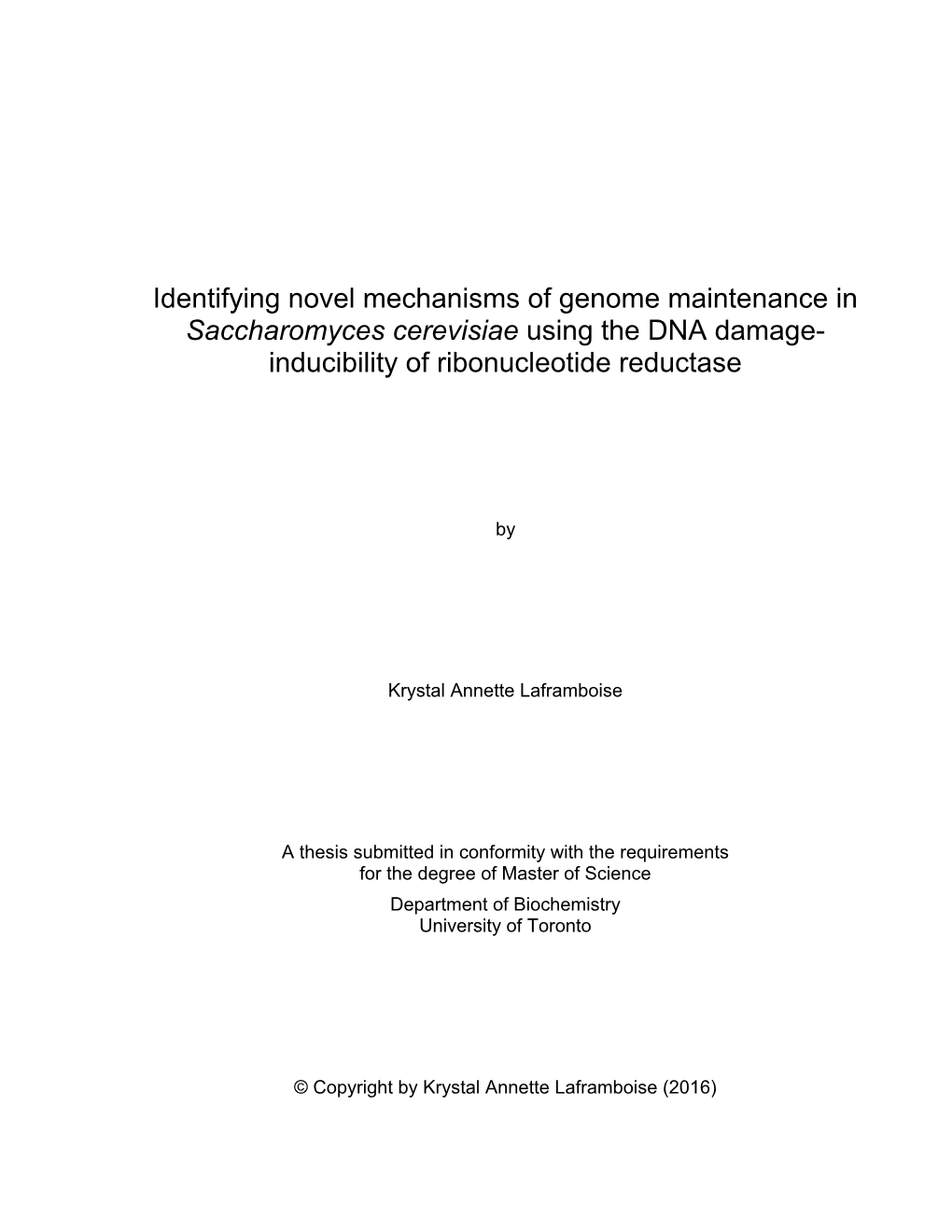 Identifying Novel Mechanisms of Genome Maintenance in Saccharomyces Cerevisiae Using the DNA Damage- Inducibility of Ribonucleotide Reductase