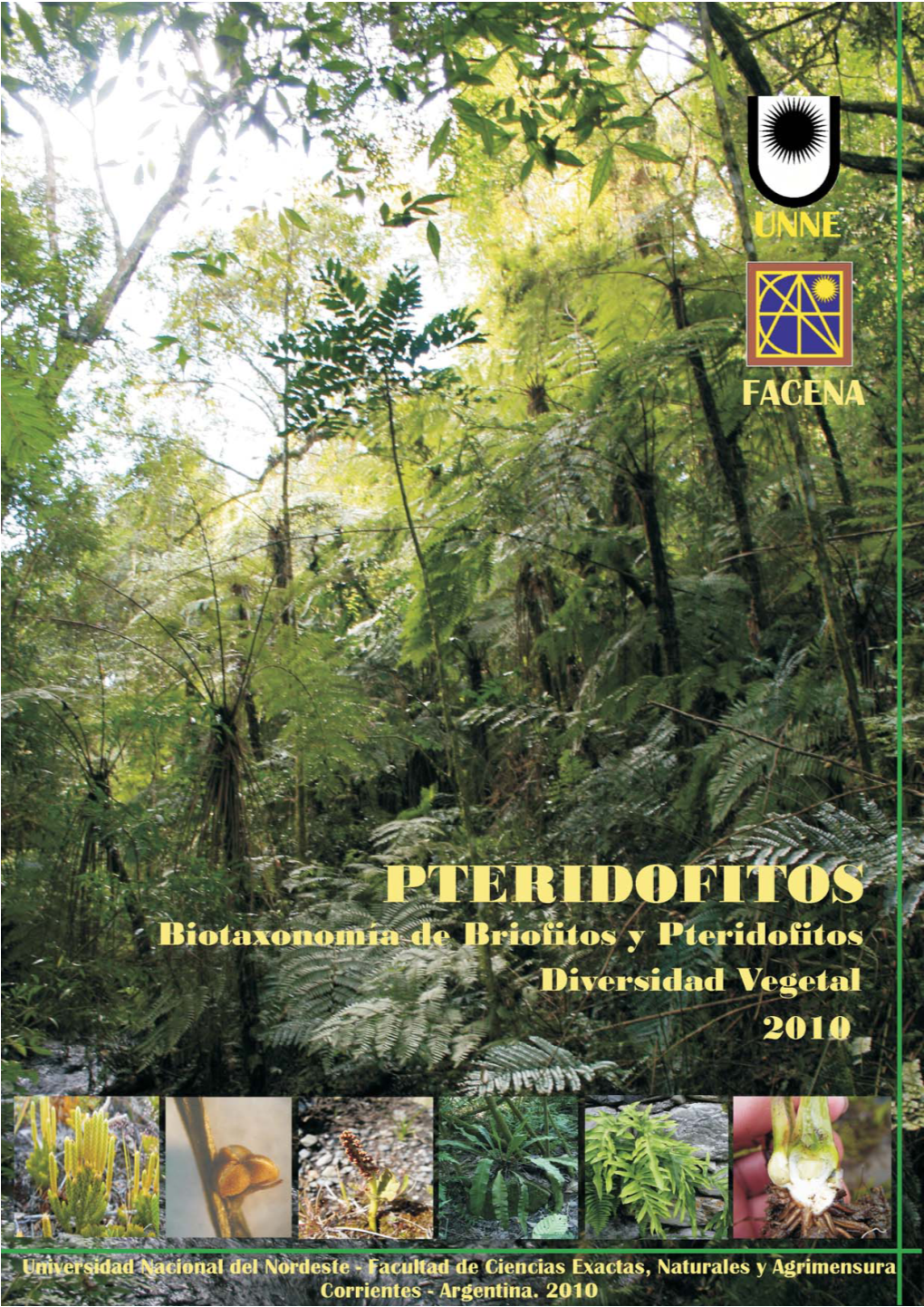 1-Pteridofitas.Pdf