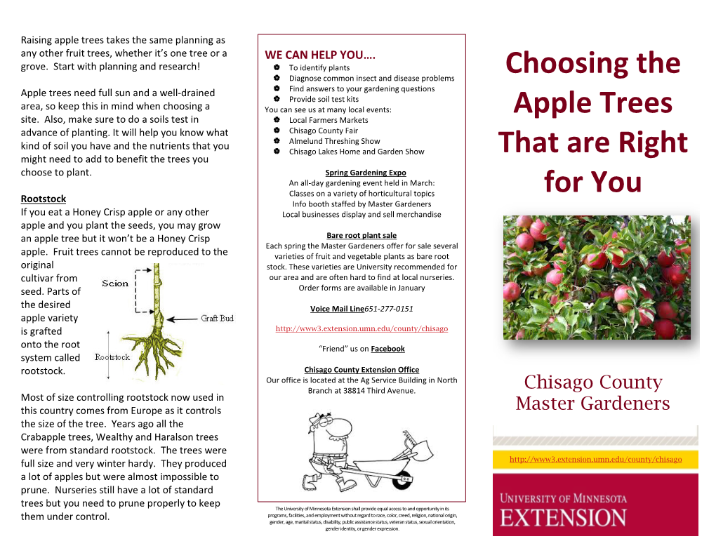 Choosing the Apple Trees That Are Right For