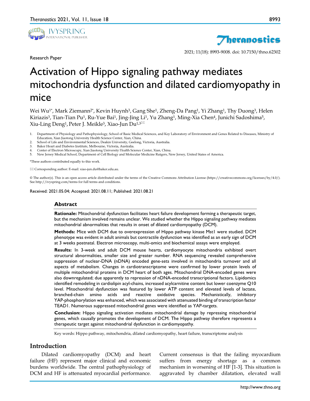 Theranostics Activation of Hippo Signaling Pathway Mediates Mitochondria Dysfunction and Dilated Cardiomyopathy in Mice