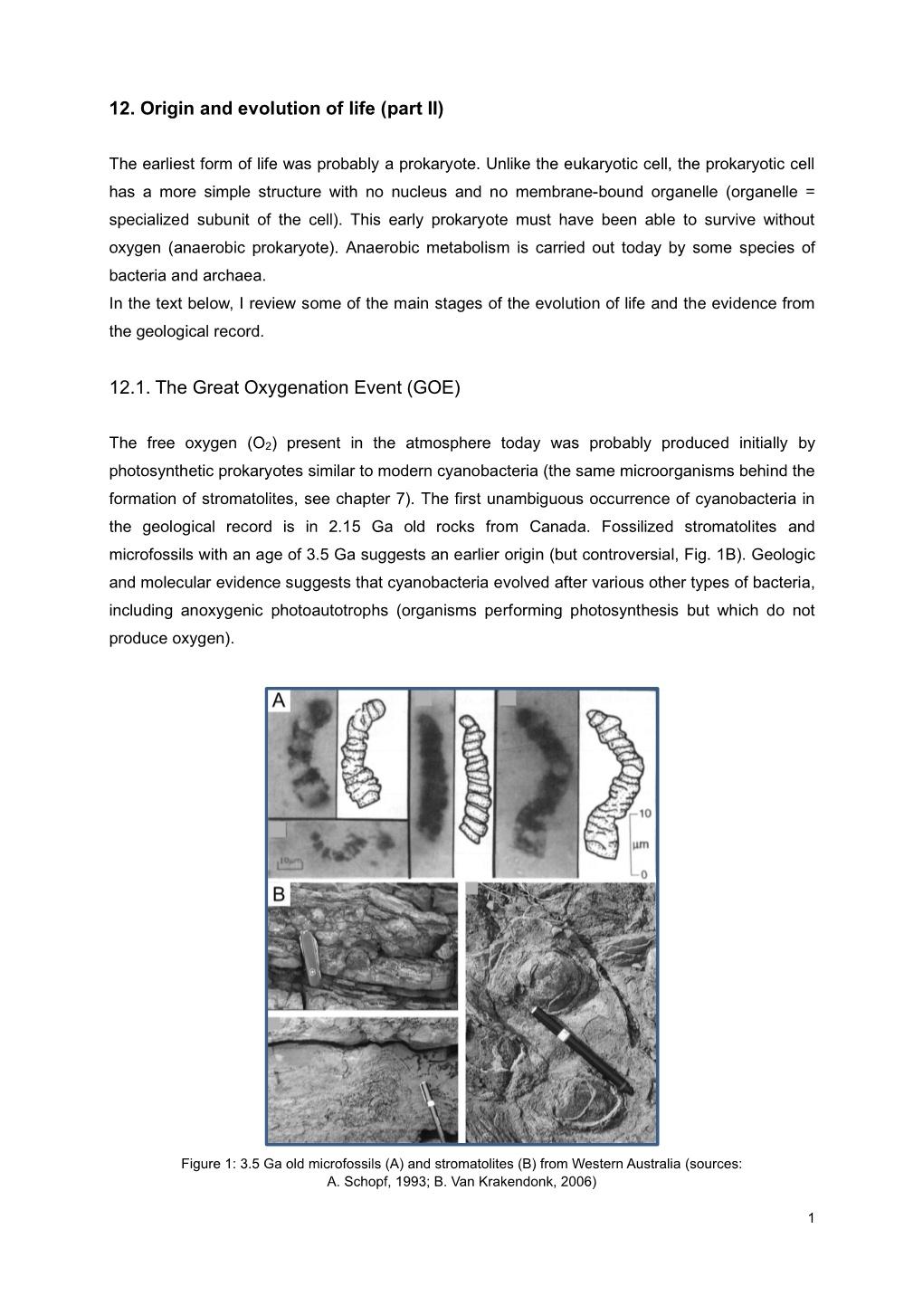 Earth Structure and Dynamics