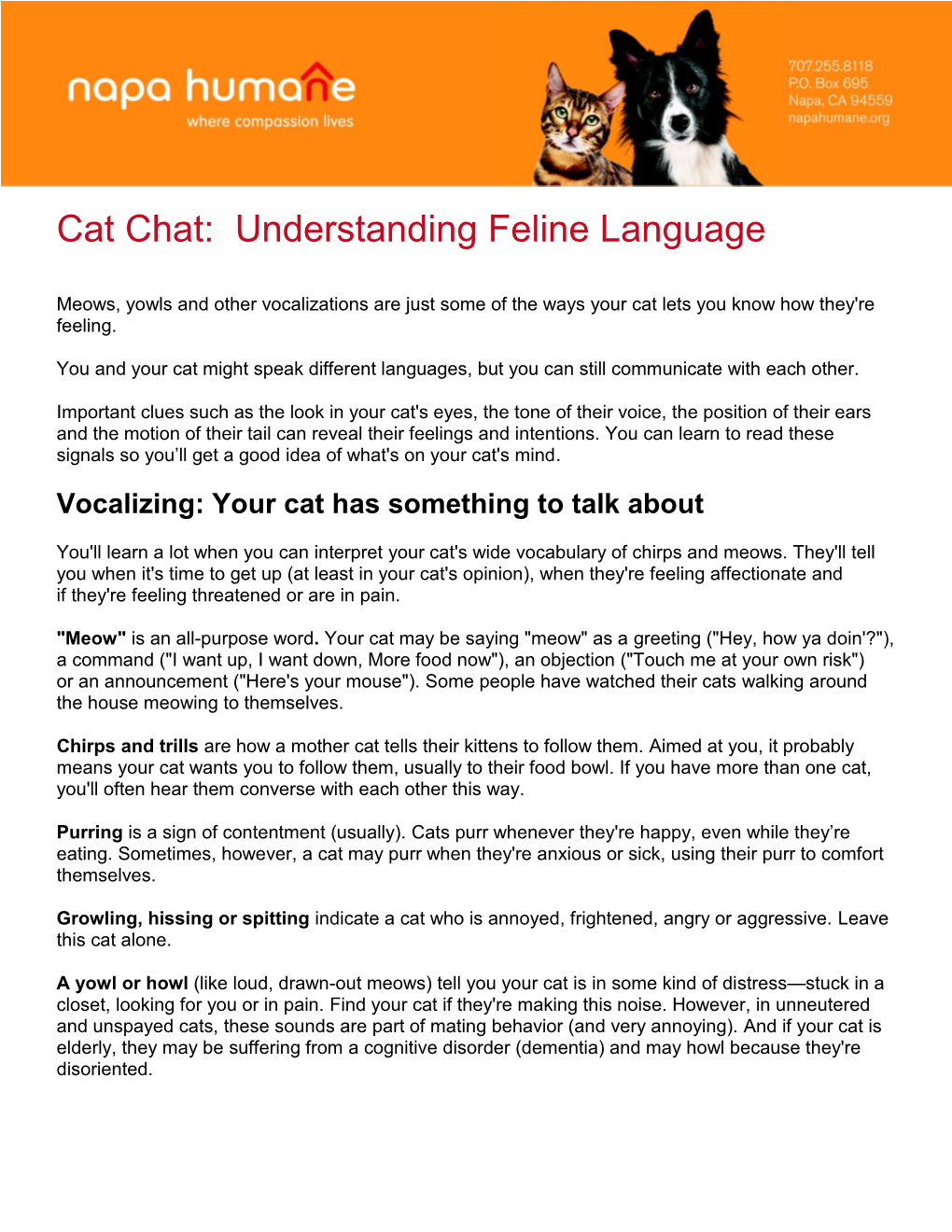 Cat Chat: Understanding Feline Language