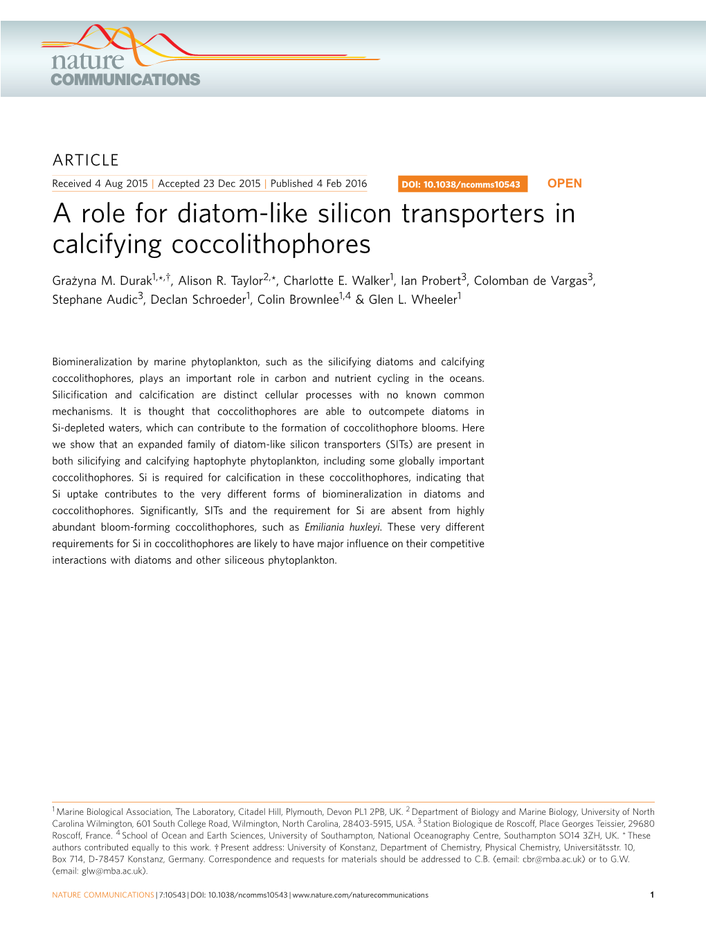 A Role for Diatom-Like Silicon Transporters in Calcifying Coccolithophores