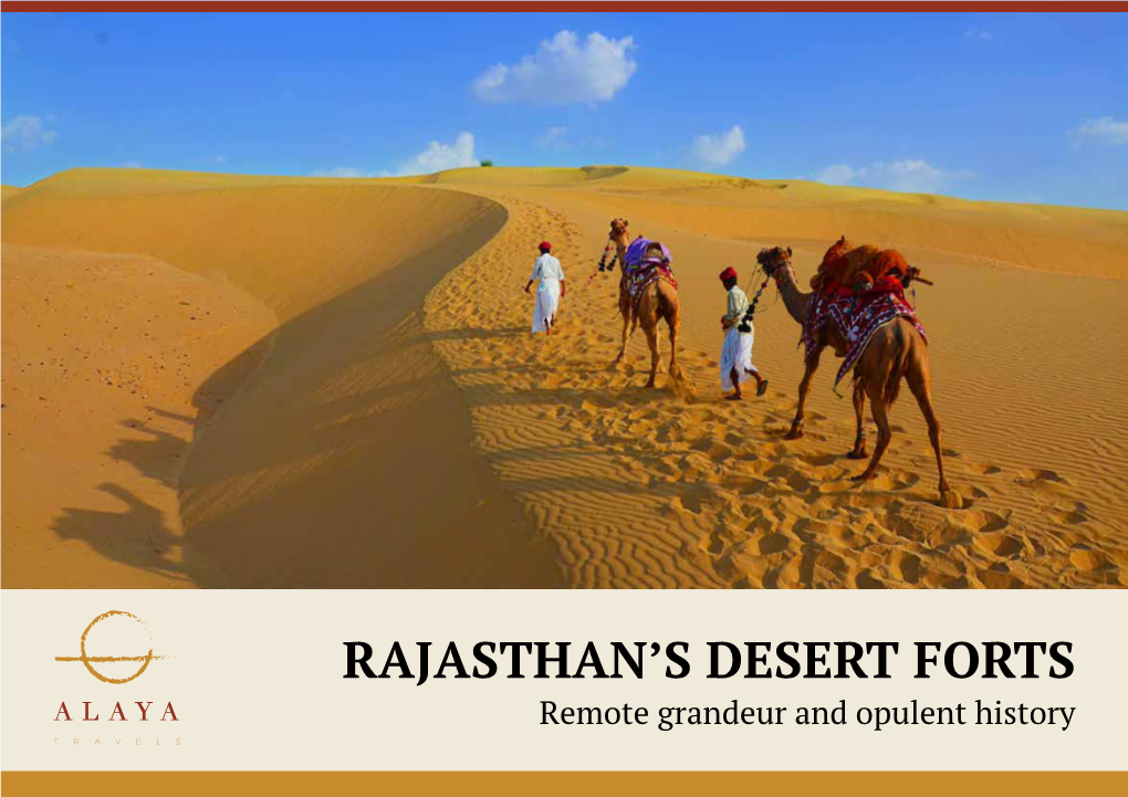 Rajasthan's Desert Forts