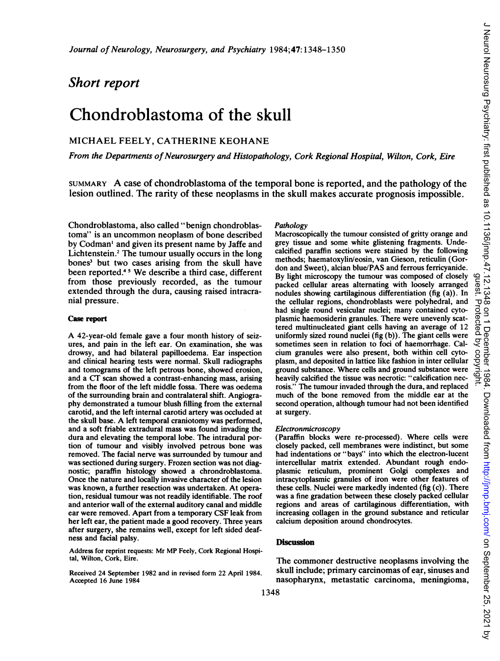 Chondroblastoma of the Skull
