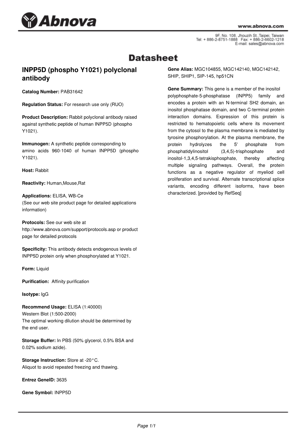 INPP5D (Phospho Y1021) Polyclonal Antibody