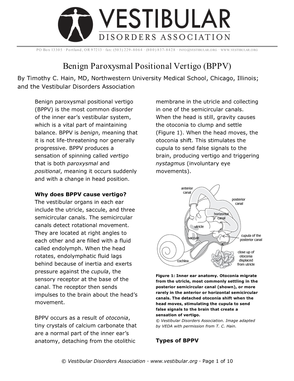 Benign Paroxysmal Positional Vertigo (BPPV) by Timothy C