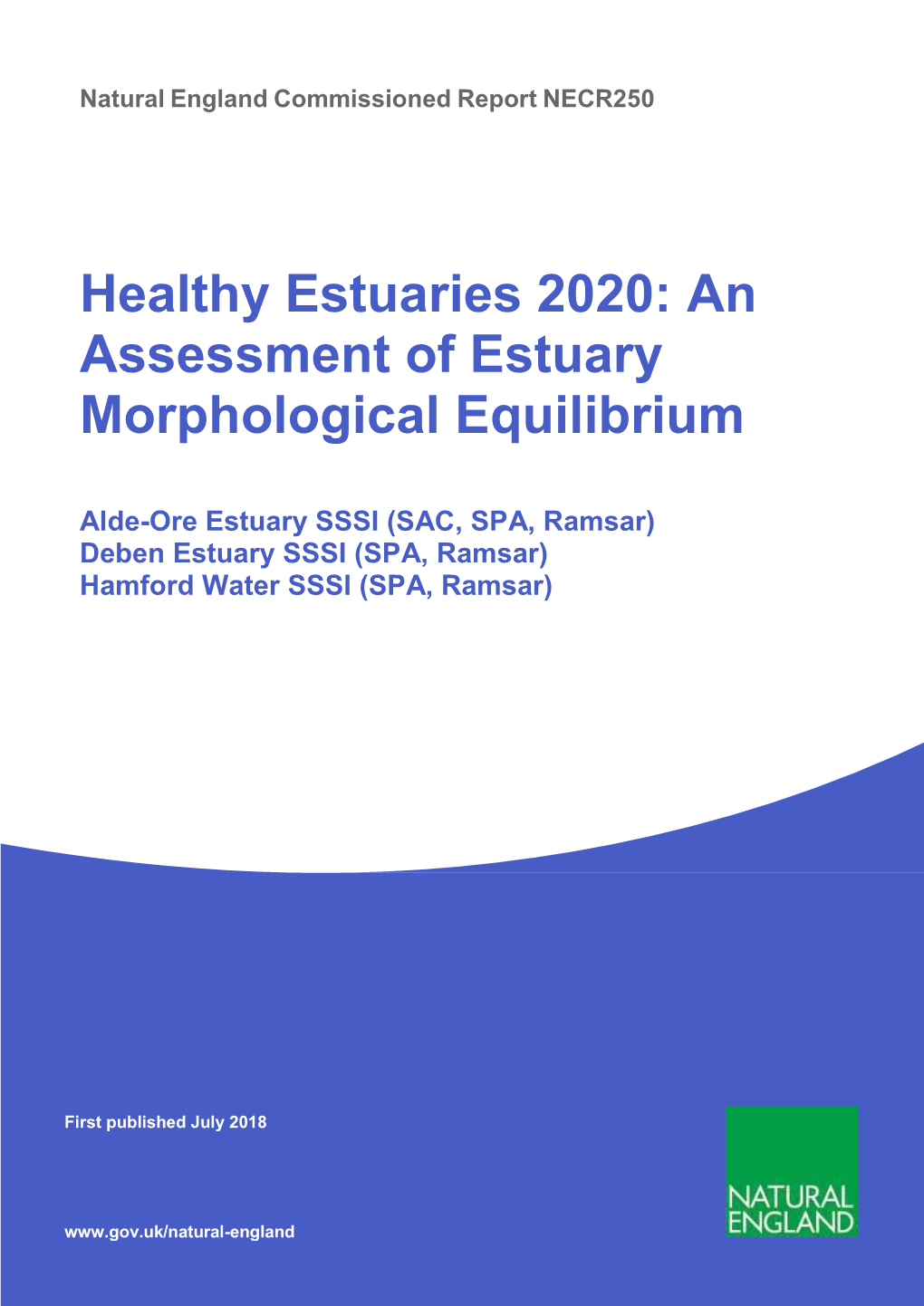 Healthy Estuaries 2020: an Assessment of Estuary Morphological Equilibrium