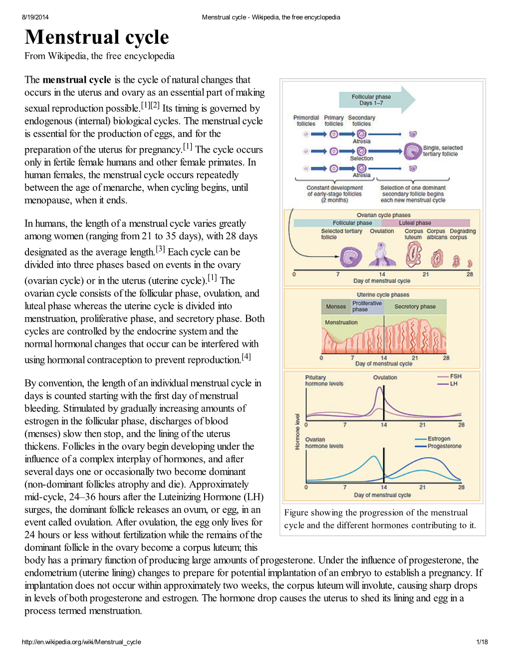 Menstrual Cycle - Wikipedia, the Free Encyclopedia Menstrual Cycle from Wikipedia, the Free Encyclopedia