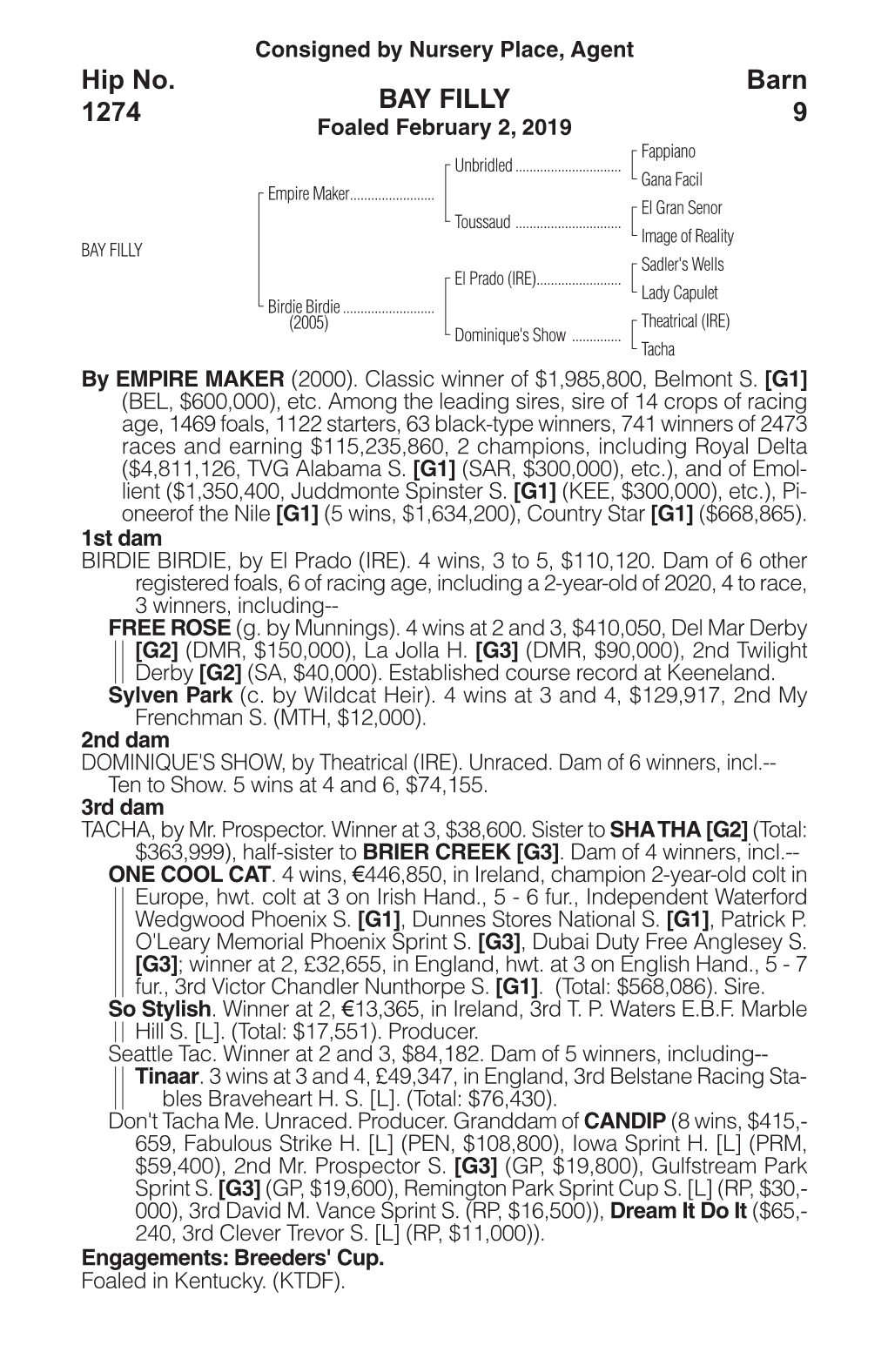 BAY FILLY Barn 9 Hip No. 1274